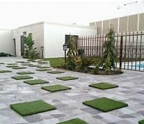 العشب والمسطحات الخضراء