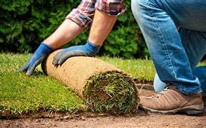 تصميم الحدائق