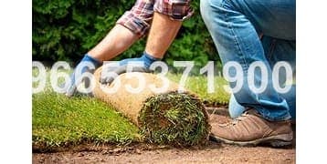 تنسيق حدائق احترافي: تنسيق حدائق في مدينة جدة  | ديار جدة 